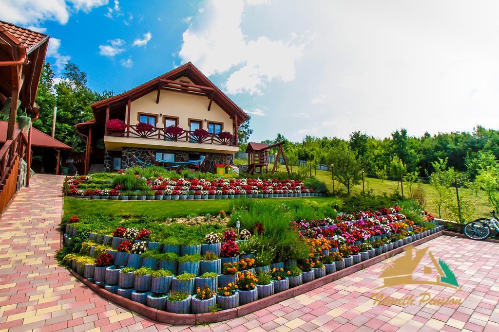 Nemeth Resort Sovata Luaran gambar